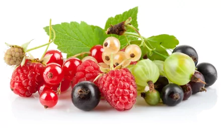 food berry HD Desktop Wallpaper | Background Image