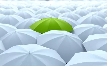 photography umbrella HD Desktop Wallpaper | Background Image
