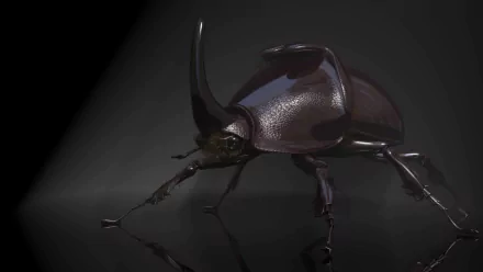 A 3D depiction of a rhinoceros beetle, showcasing its shiny surface and distinctive horn, set against a dark background. This image serves as an HD PC desktop wallpaper.