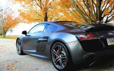 Matte gray Audi R8 parked beneath autumn trees, low-angle view with fallen leaves — HD PC desktop wallpaper and background.