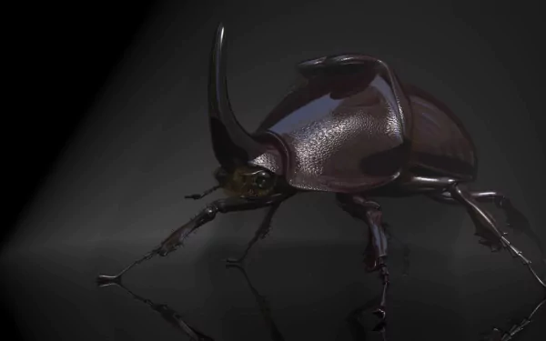A 3D depiction of a rhinoceros beetle, showcasing its shiny surface and distinctive horn, set against a dark background. This image serves as an HD PC desktop wallpaper.