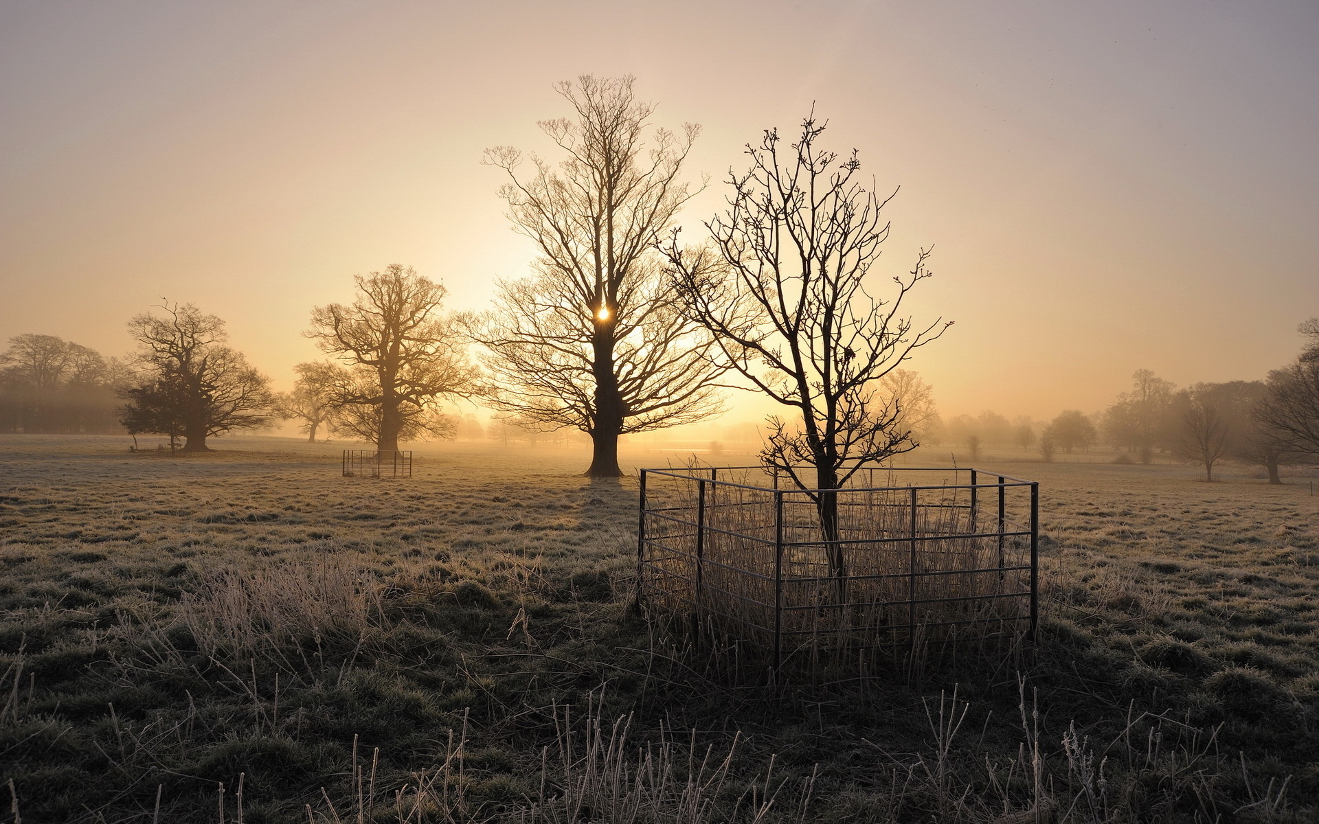 Sunbeam HD Wallpaper Background Image 1920x1200 ID 370696 Wallpaper Abyss
