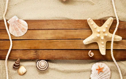 HD desktop wallpaper featuring a wooden signboard on sandy beach surrounded by various seashells and a starfish, highlighting nature's coastal elements.