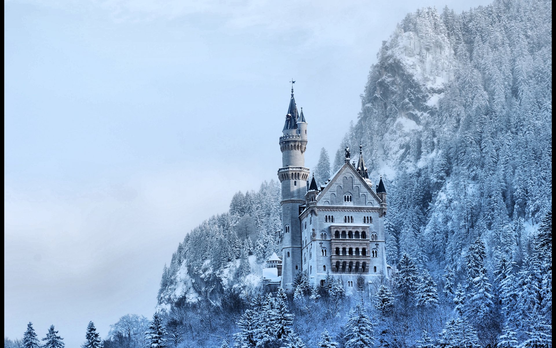 Download Man Made Neuschwanstein Castle 4k Ultra HD Wallpaper