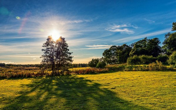 Nature Landscape HD Wallpaper | Background Image