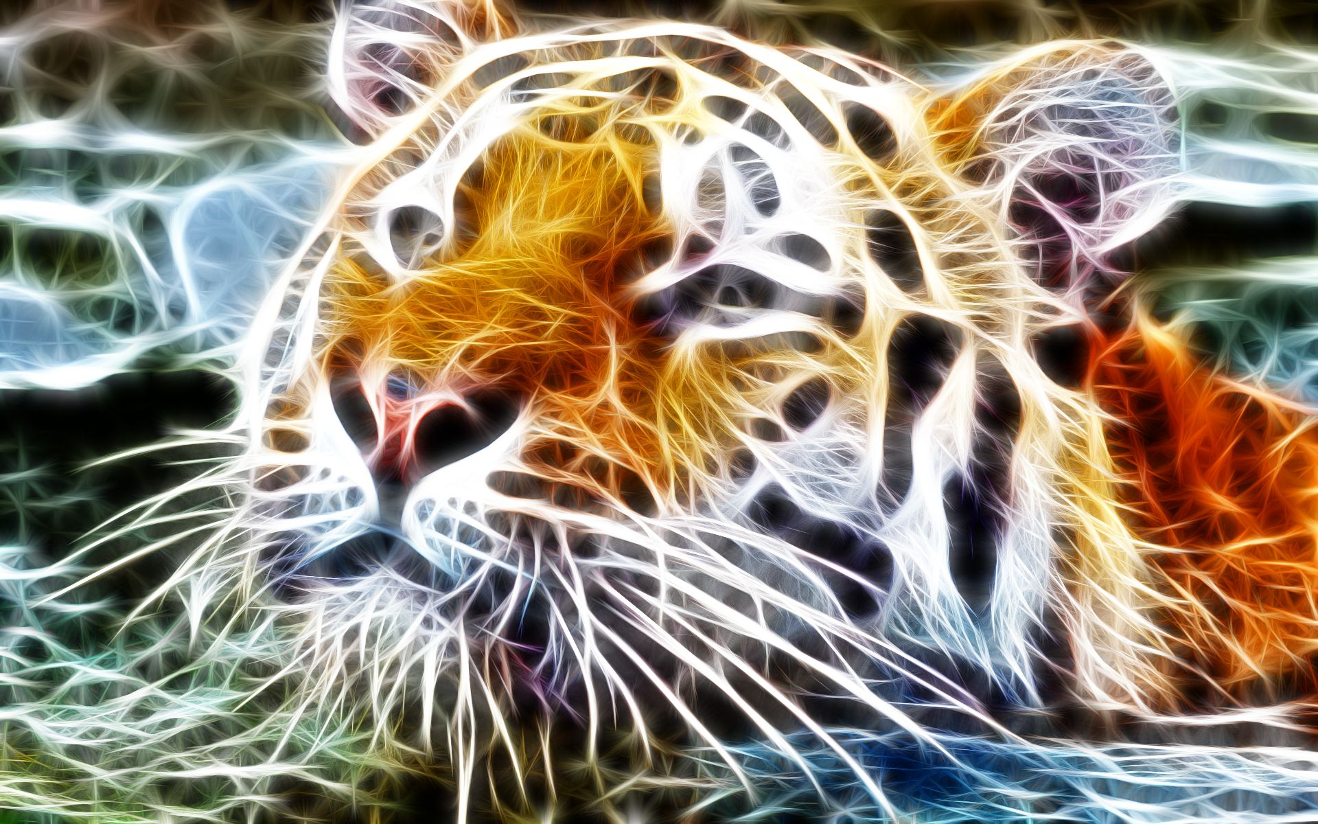 Download Animal Tiger HD Wallpaper