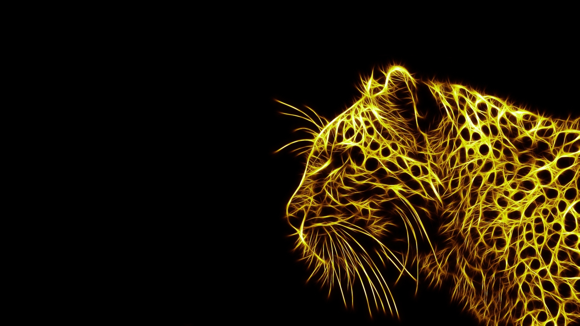 Download Animal Leopard HD Wallpaper