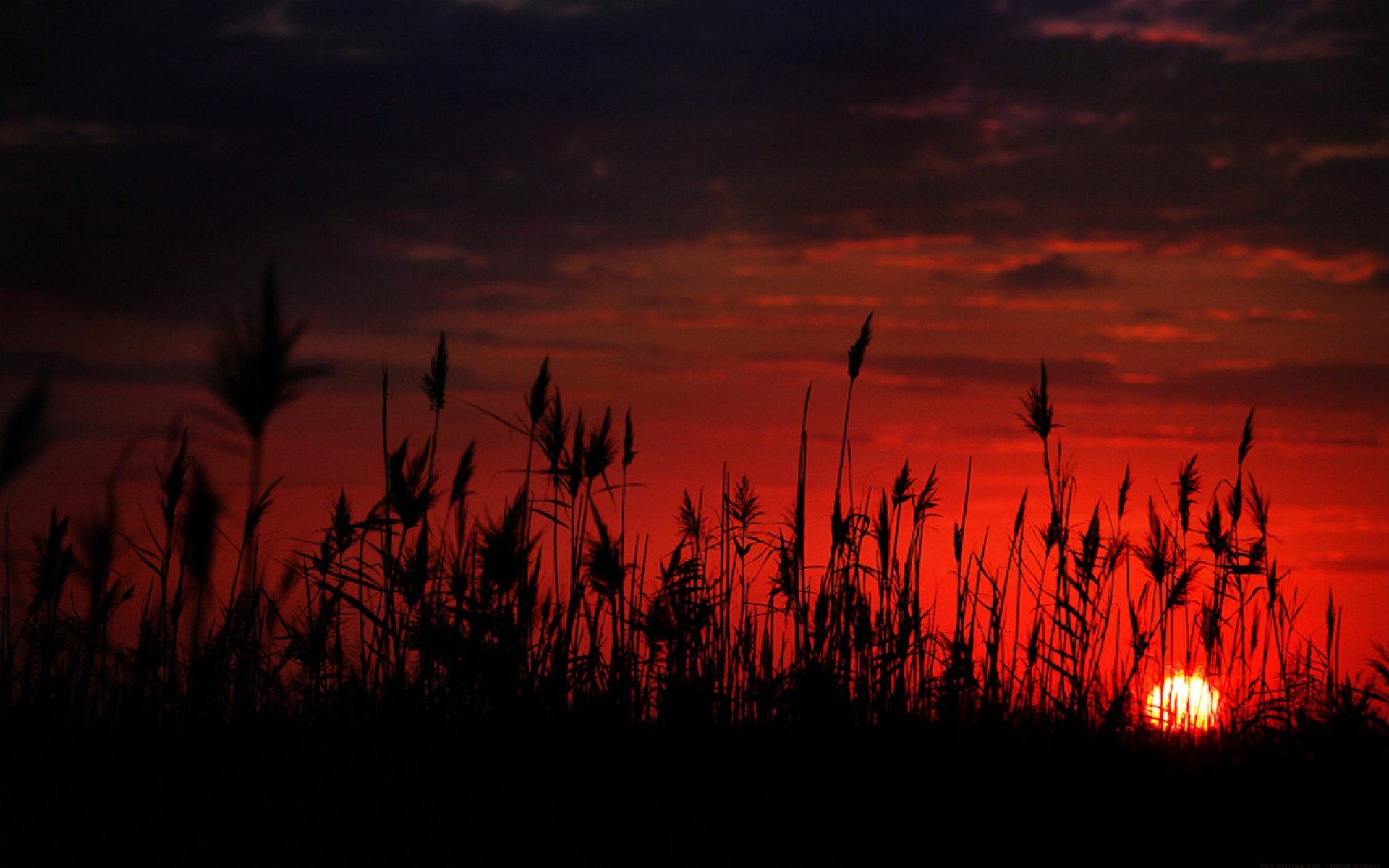 Download Nature Sunset HD Wallpaper