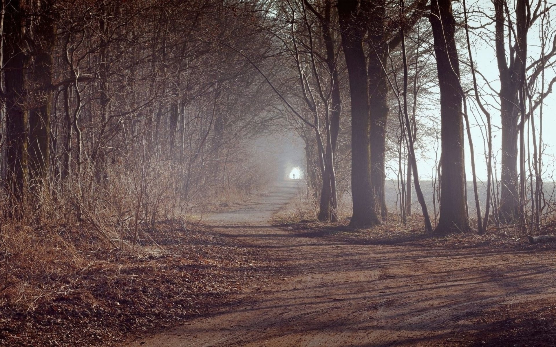 Path HD Wallpaper | Background Image | 2560x1600 | ID:372854