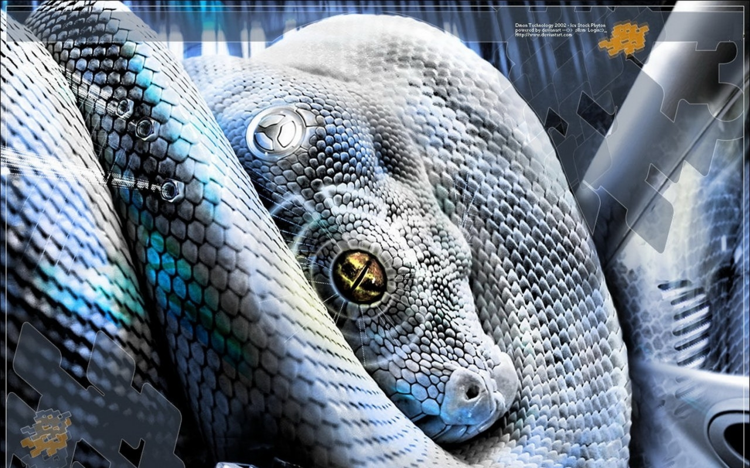Snake HD Wallpaper
