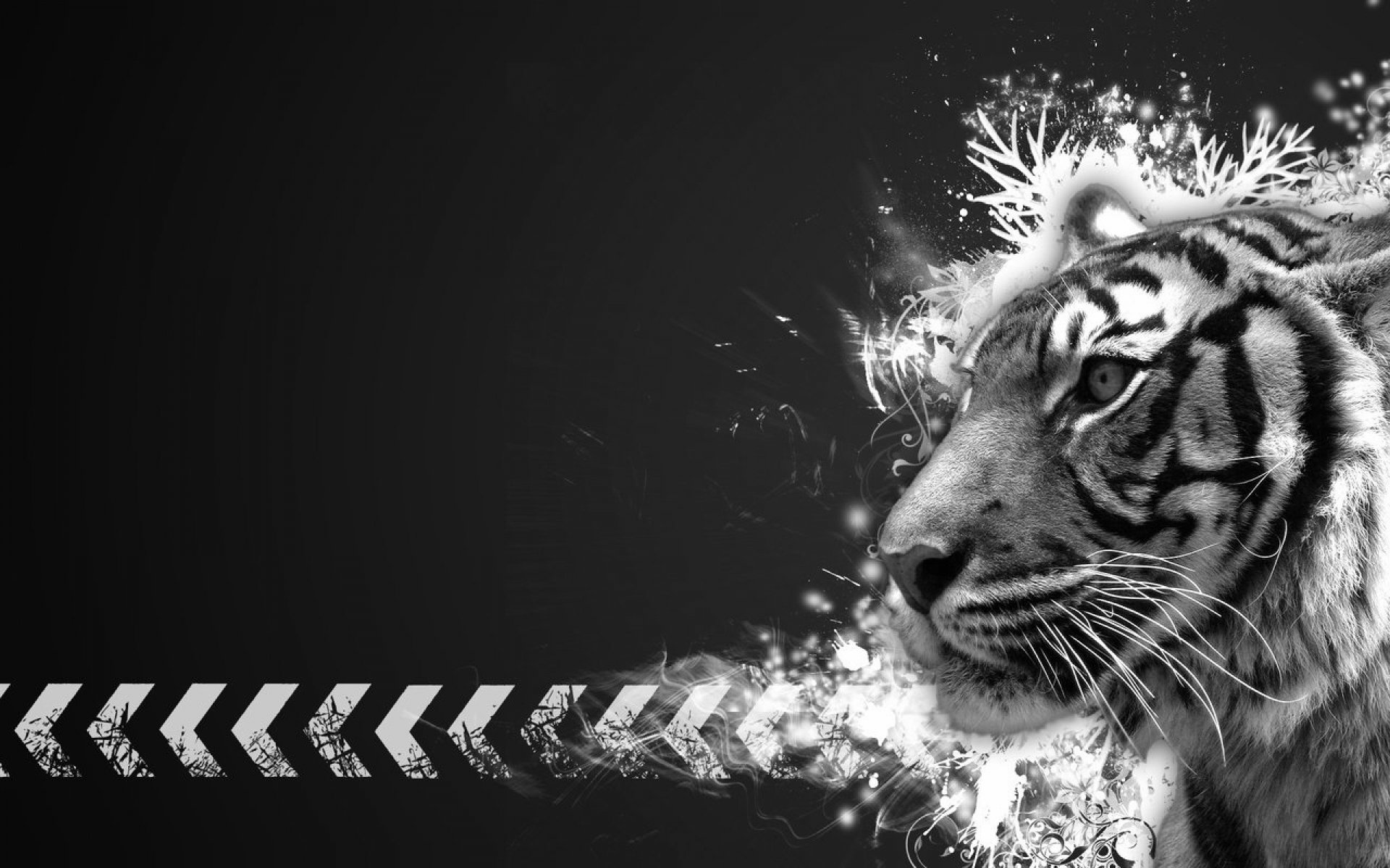 A striking black and white HD wallpaper featuring the profile of a tiger, accented with dynamic splashes of white, creating a bold and artistic background.