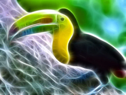 Animal toucan HD Desktop Wallpaper | Background Image