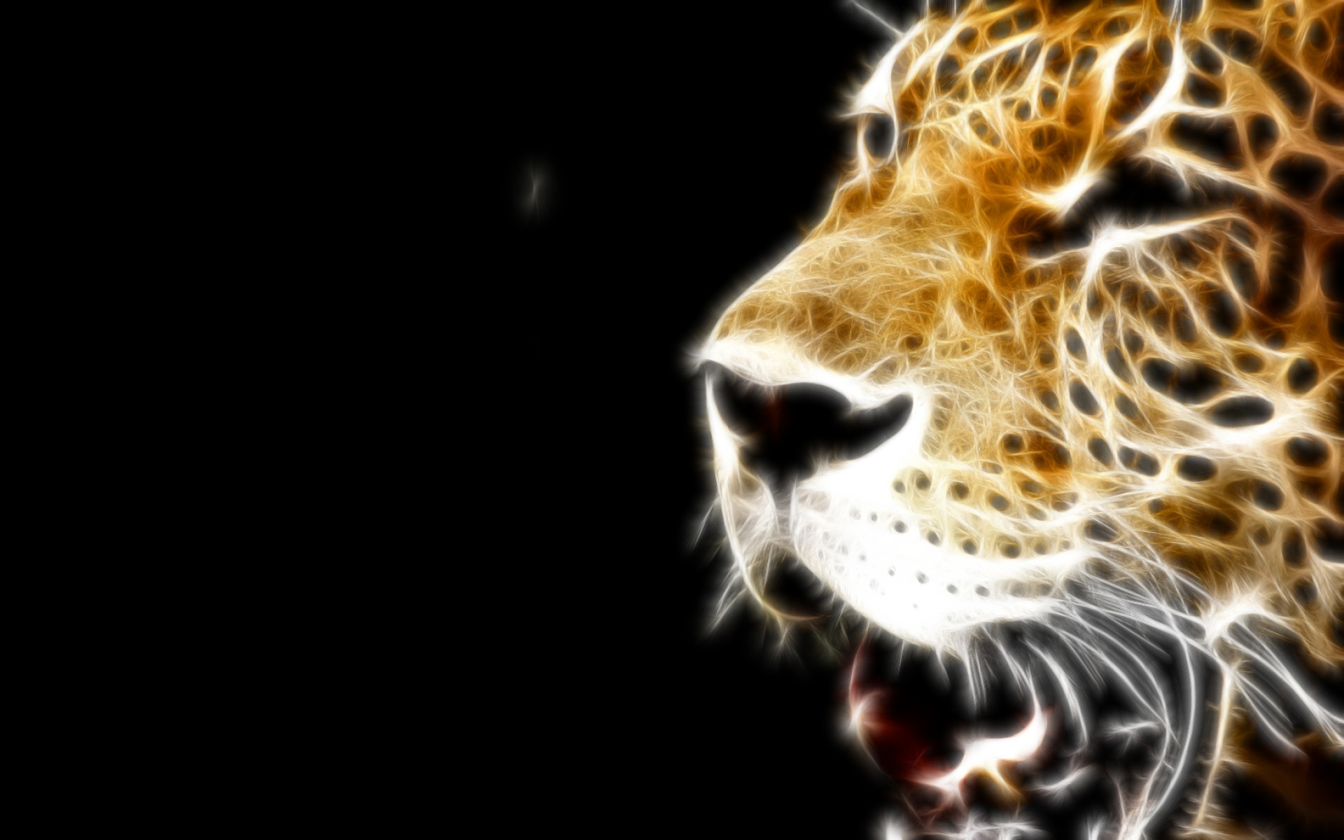 Animal Leopard HD Wallpaper