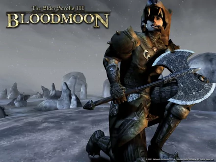 video game The Elder Scrolls III: Bloodmoon HD Desktop Wallpaper | Background Image