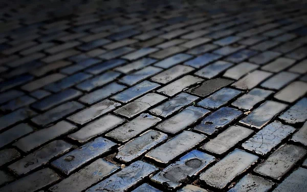 HD photography of dark, wet brick cobblestones in close-up, textured surface with subtle blue highlights — PC desktop wallpaper background