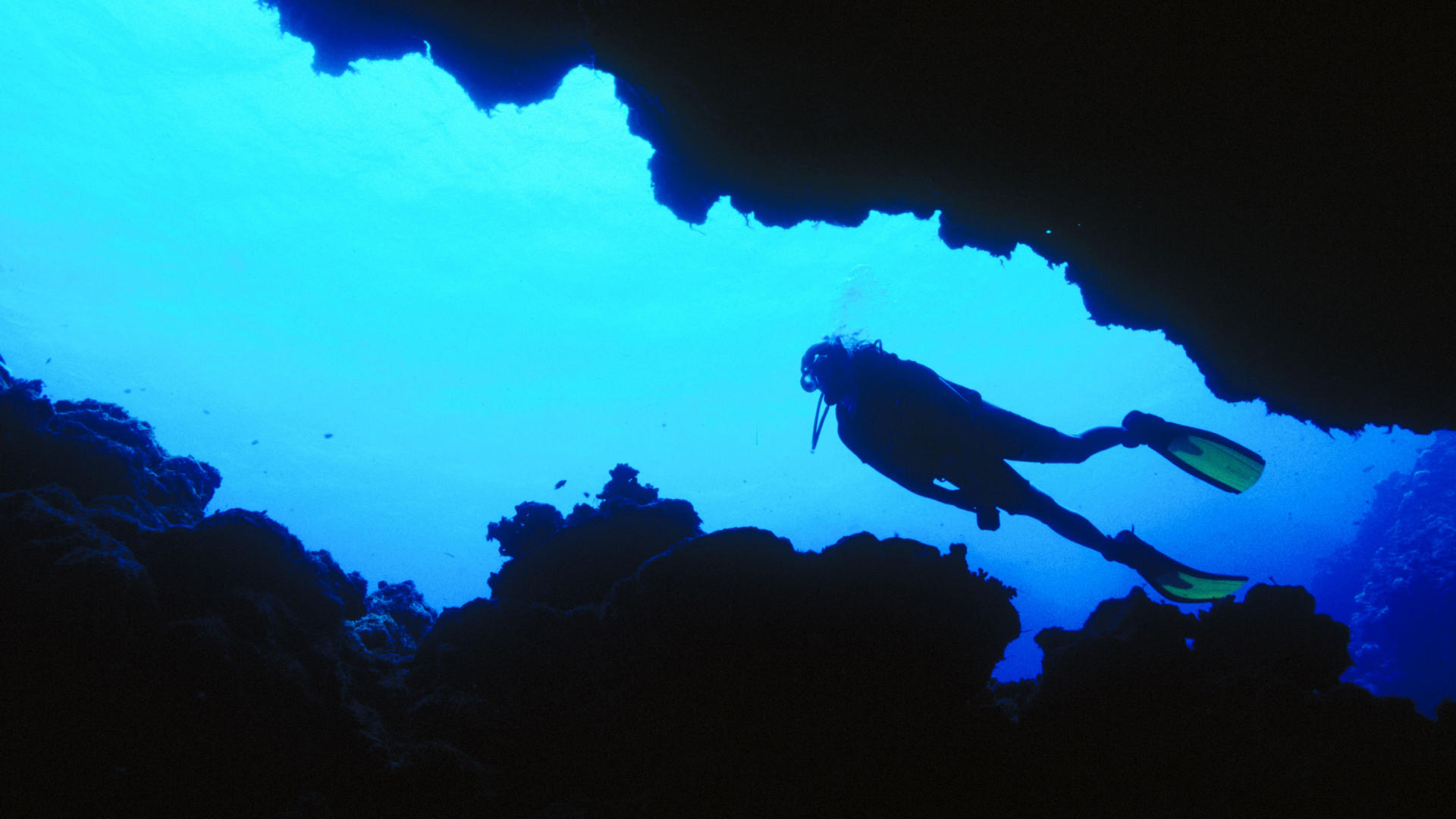 Scuba diving HD Wallpaper
