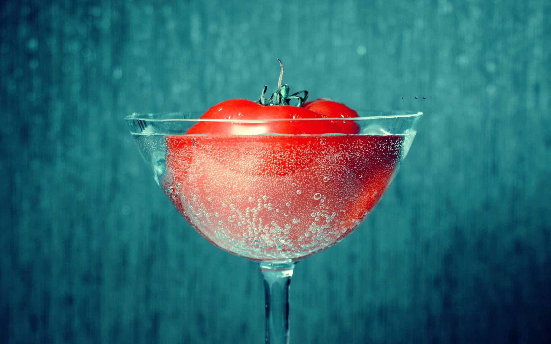 HD desktop wallpaper featuring a vibrant red tomato submerged in sparkling water against a textured blue background.