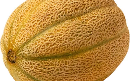 Close-up HD desktop wallpaper of a textured, ripe cantaloupe melon showcasing its intricate netted rind pattern.
