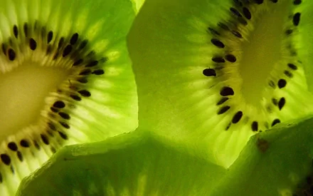 Close-up HD PC desktop wallpaper of fresh, vibrant green kiwi slices highlighting the detailed seeds and juicy texture.