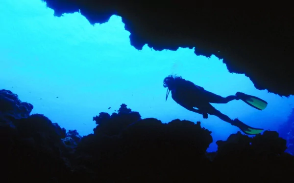 scuba diver scuba diving Sports HD Desktop Wallpaper | Background Image
