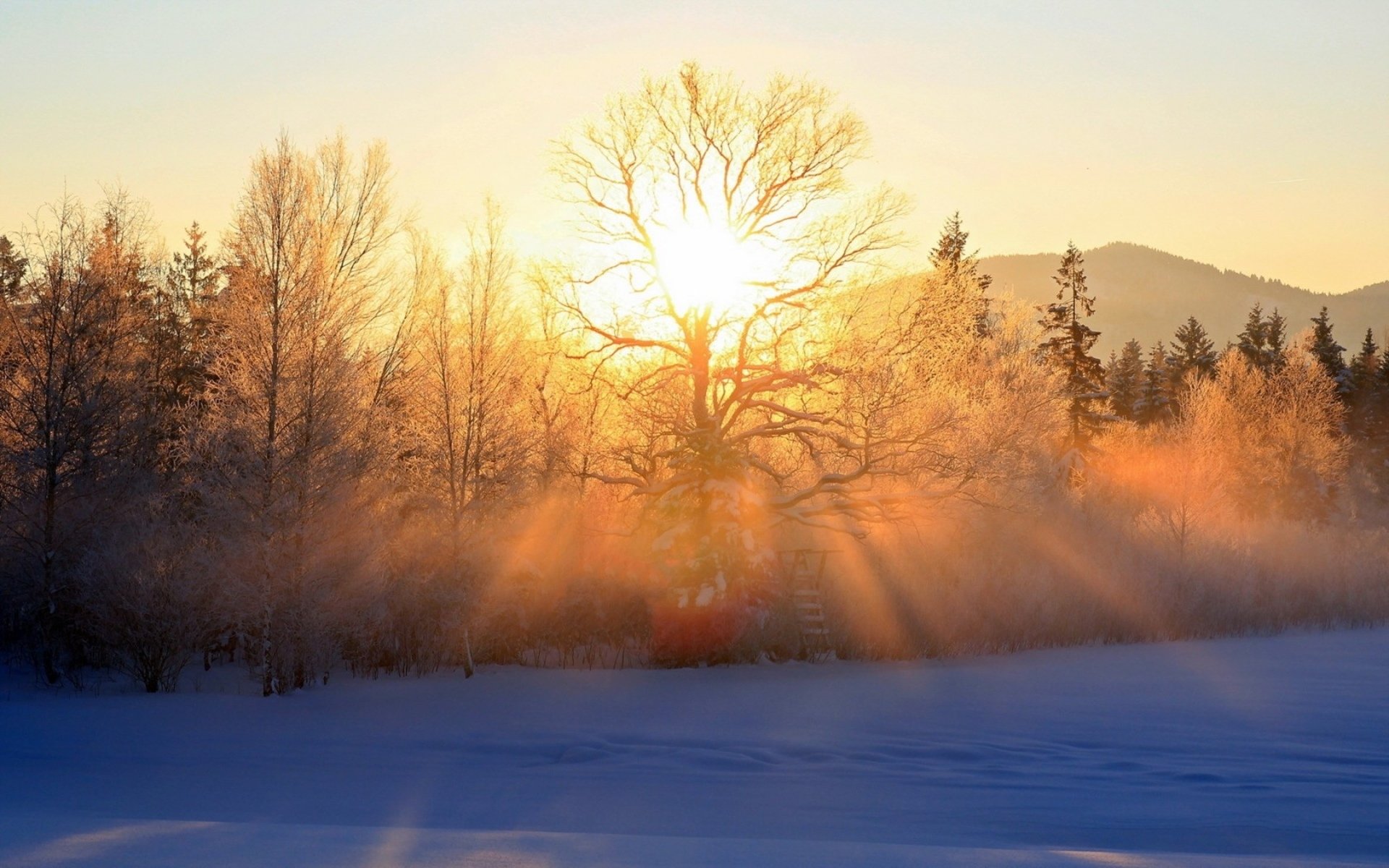 Download Nature Sunbeam HD Wallpaper