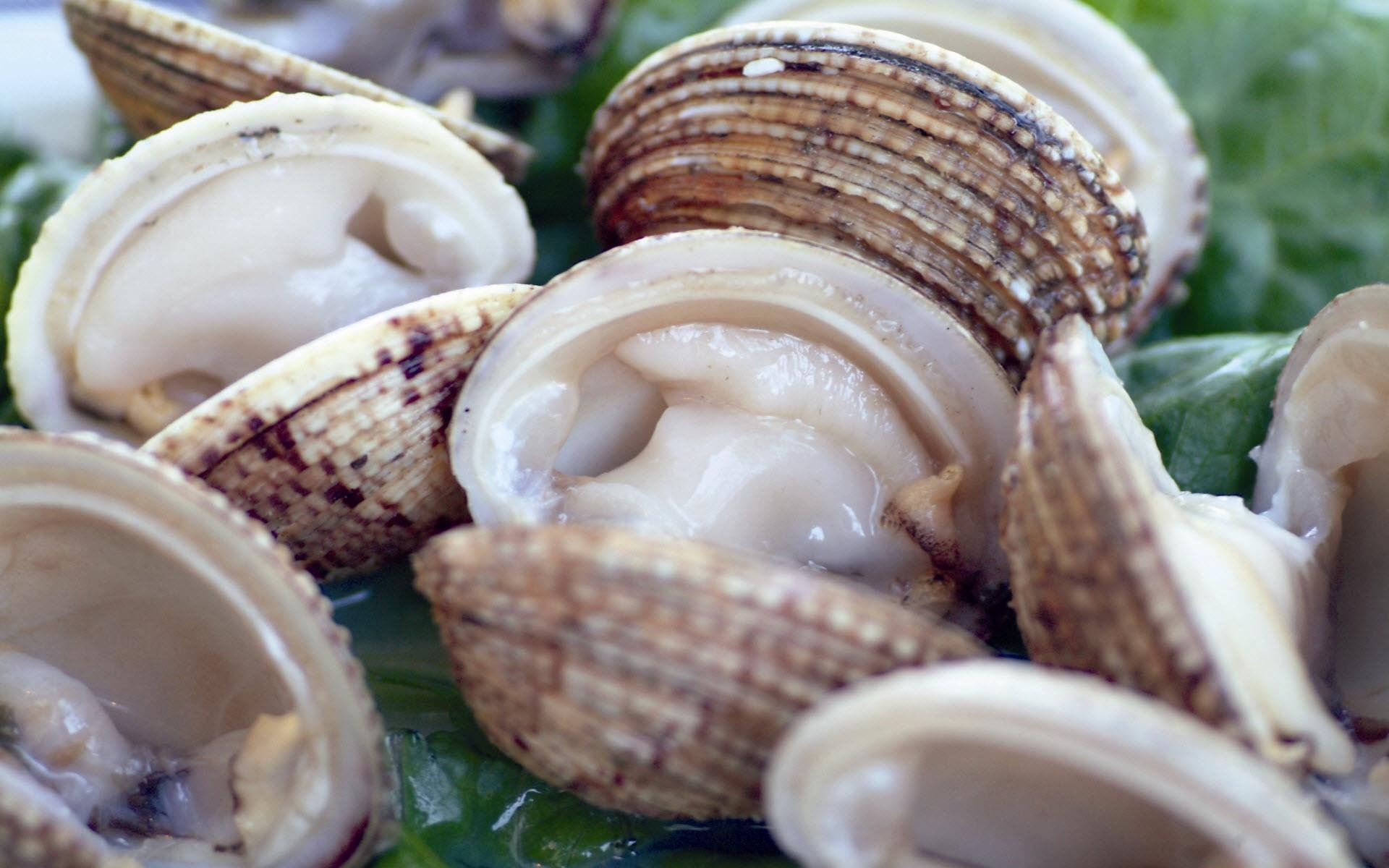 Download Food Seafood HD Wallpaper