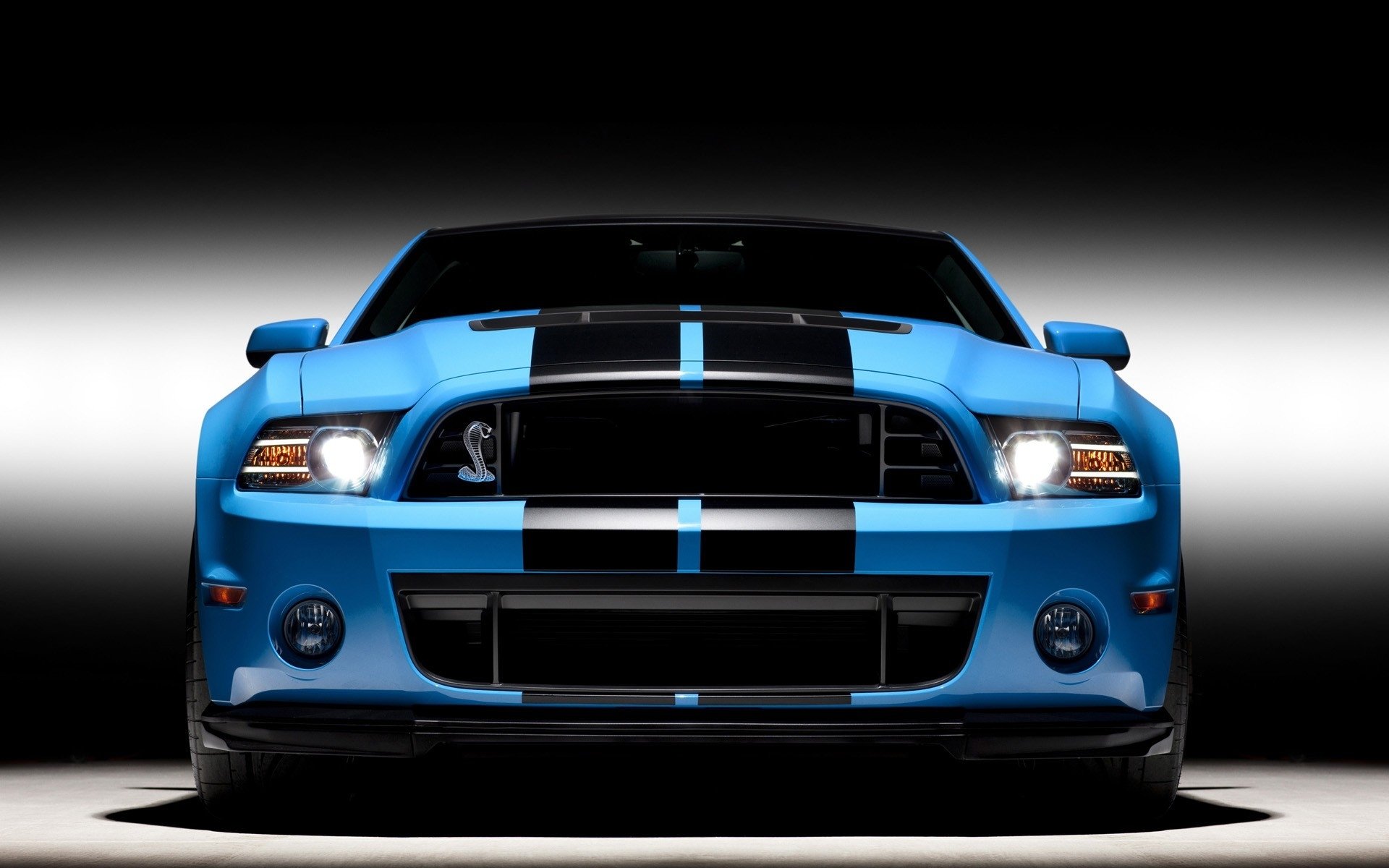 Download Vehicle Ford Mustang Shelby GT500 HD Wallpaper