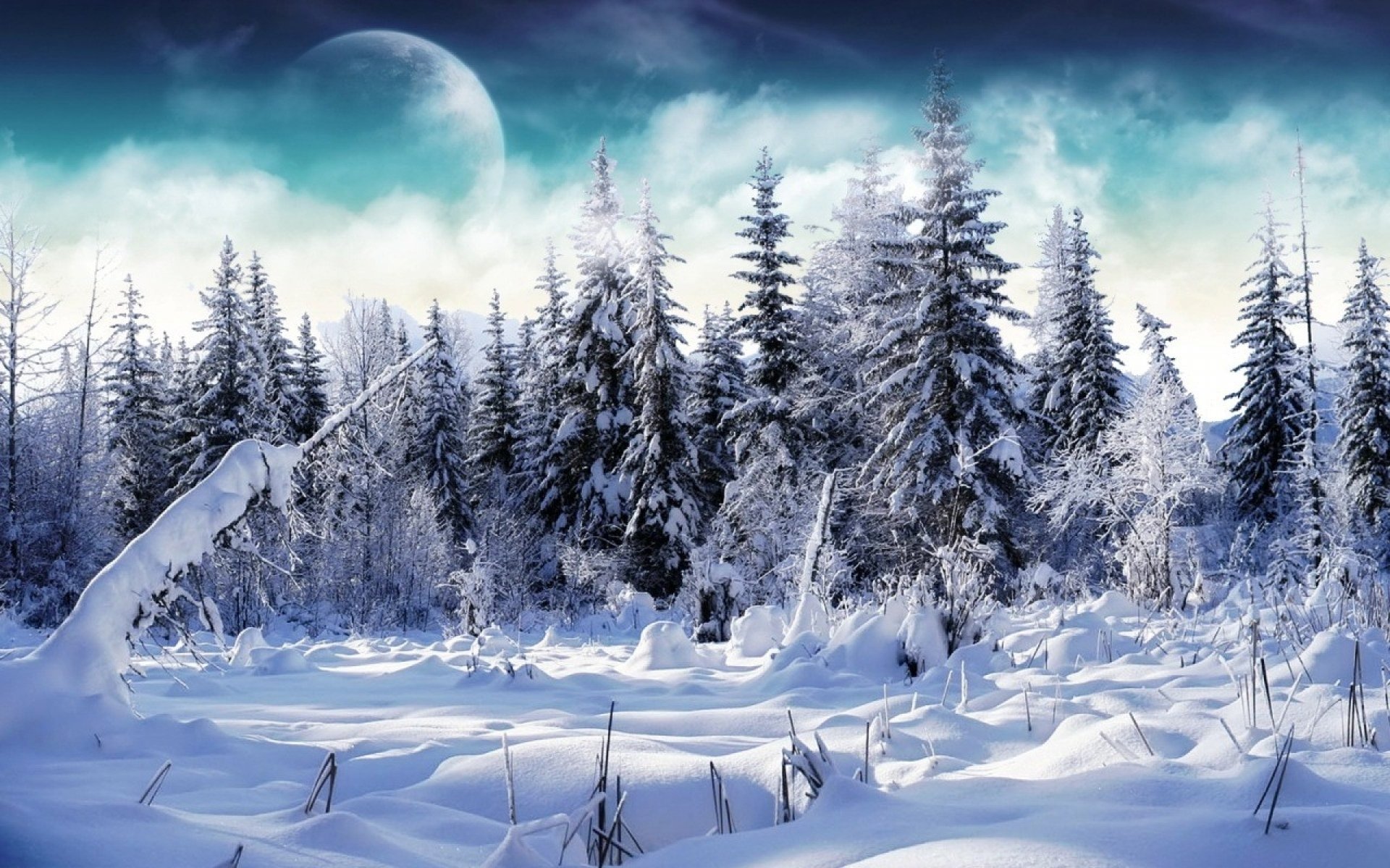 Download Artistic Winter HD Wallpaper | 1920x1200 | Wallpaper Abyss