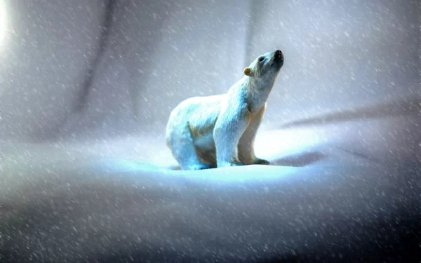  Lost Polar Bear