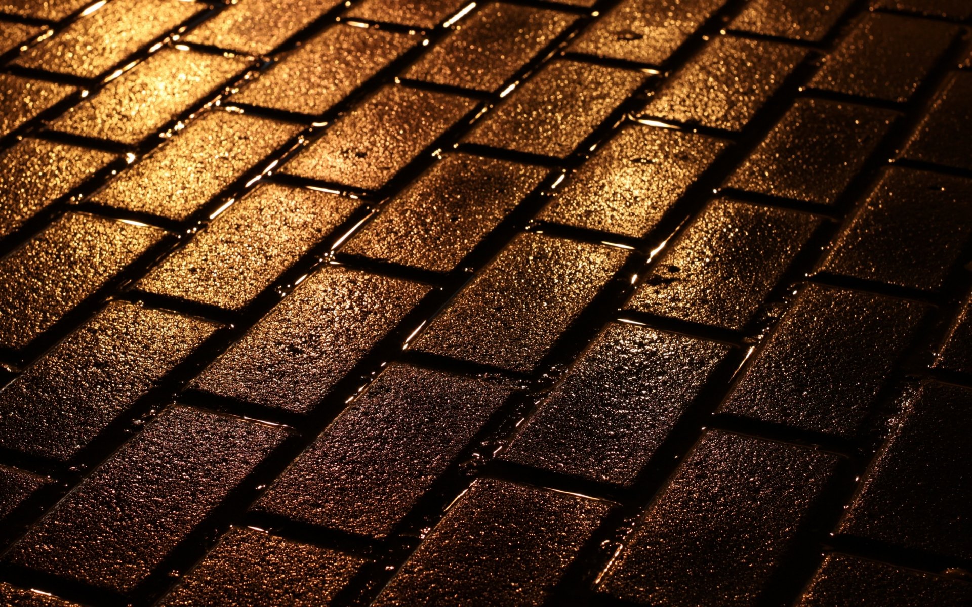 HD desktop wallpaper showcasing close-up photography of wet brick pavement illuminated by warm, golden light.