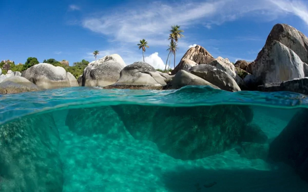 HD PC desktop wallpaper showing a serene split view of clear underwater turquoise water with rocks and palm trees under a bright blue sky.