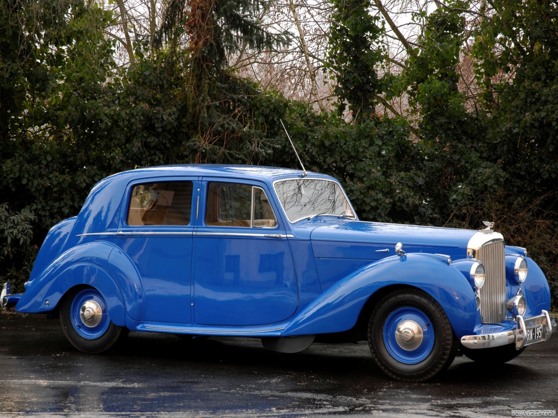 HD desktop wallpaper featuring a classic blue Bentley Mark VI vintage vehicle parked against a backdrop of dense greenery.