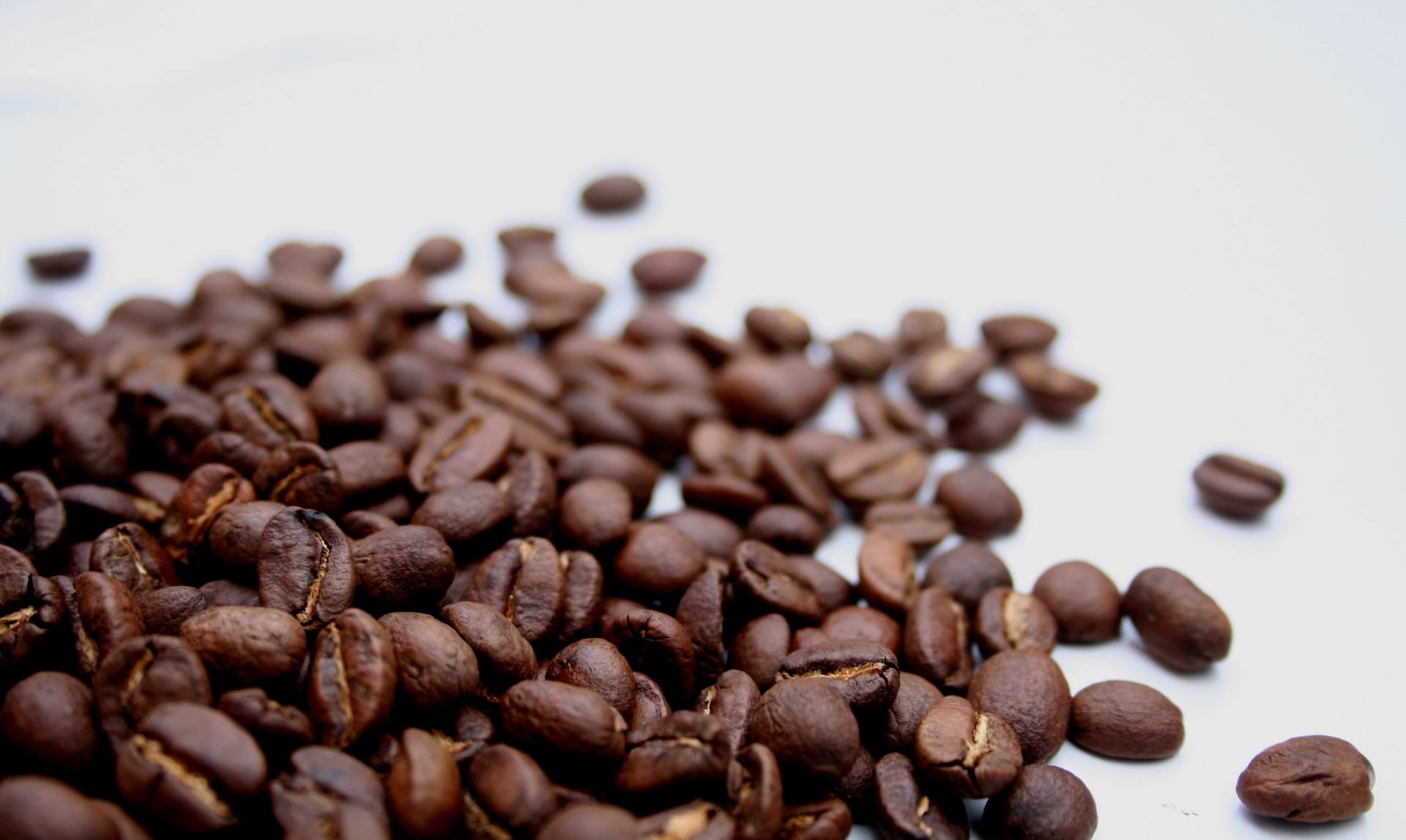 Close-up of roasted coffee beans scattered on a white surface, captured in high definition for a PC desktop wallpaper background.