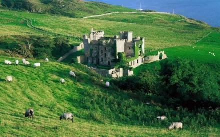 man made clifden castle HD Desktop Wallpaper | Background Image