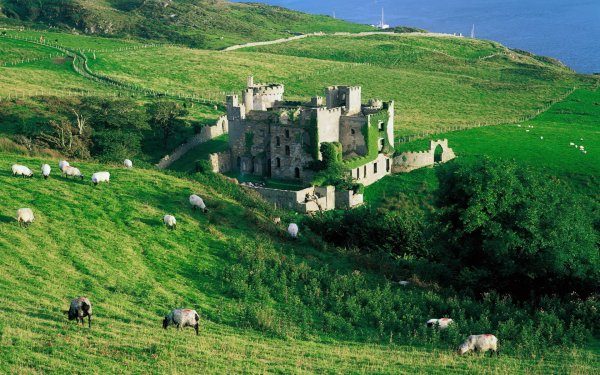 Man Made Clifden Castle Castles Ireland HD Wallpaper | Background Image