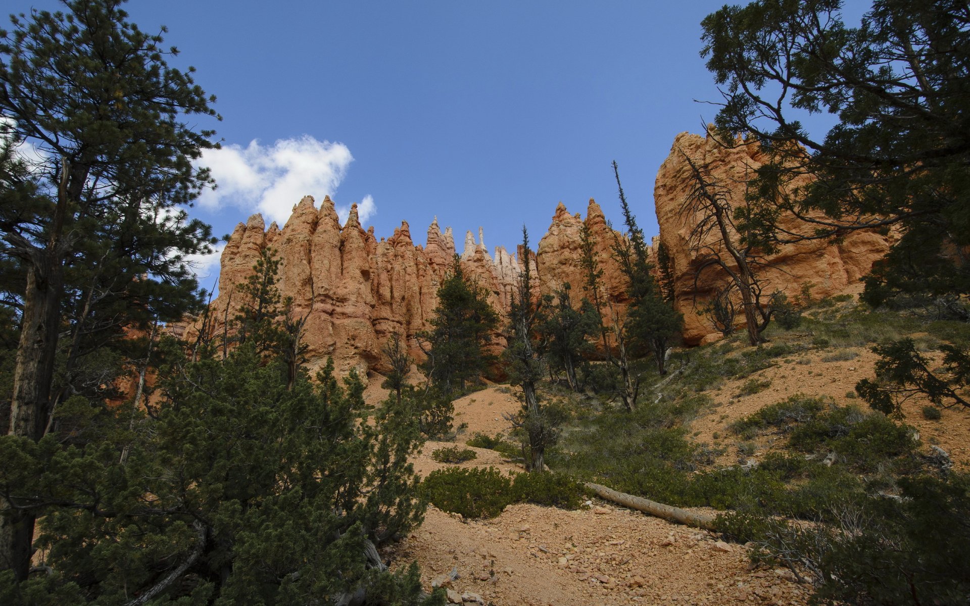 Download Nature Mountain HD Wallpaper