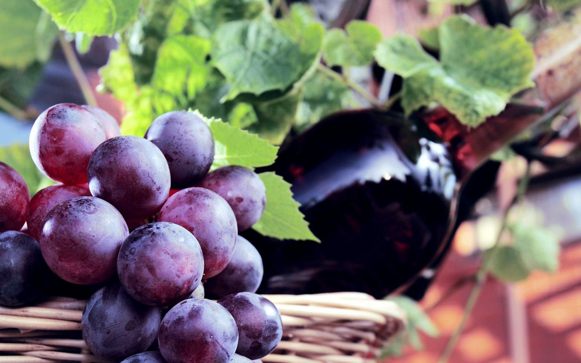 HD PC desktop wallpaper featuring a close-up of ripe grapes and a wine bottle amidst green leaves, highlighting food and wine themes.