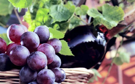 HD PC desktop wallpaper featuring a close-up of ripe grapes and a wine bottle amidst green leaves, highlighting food and wine themes.