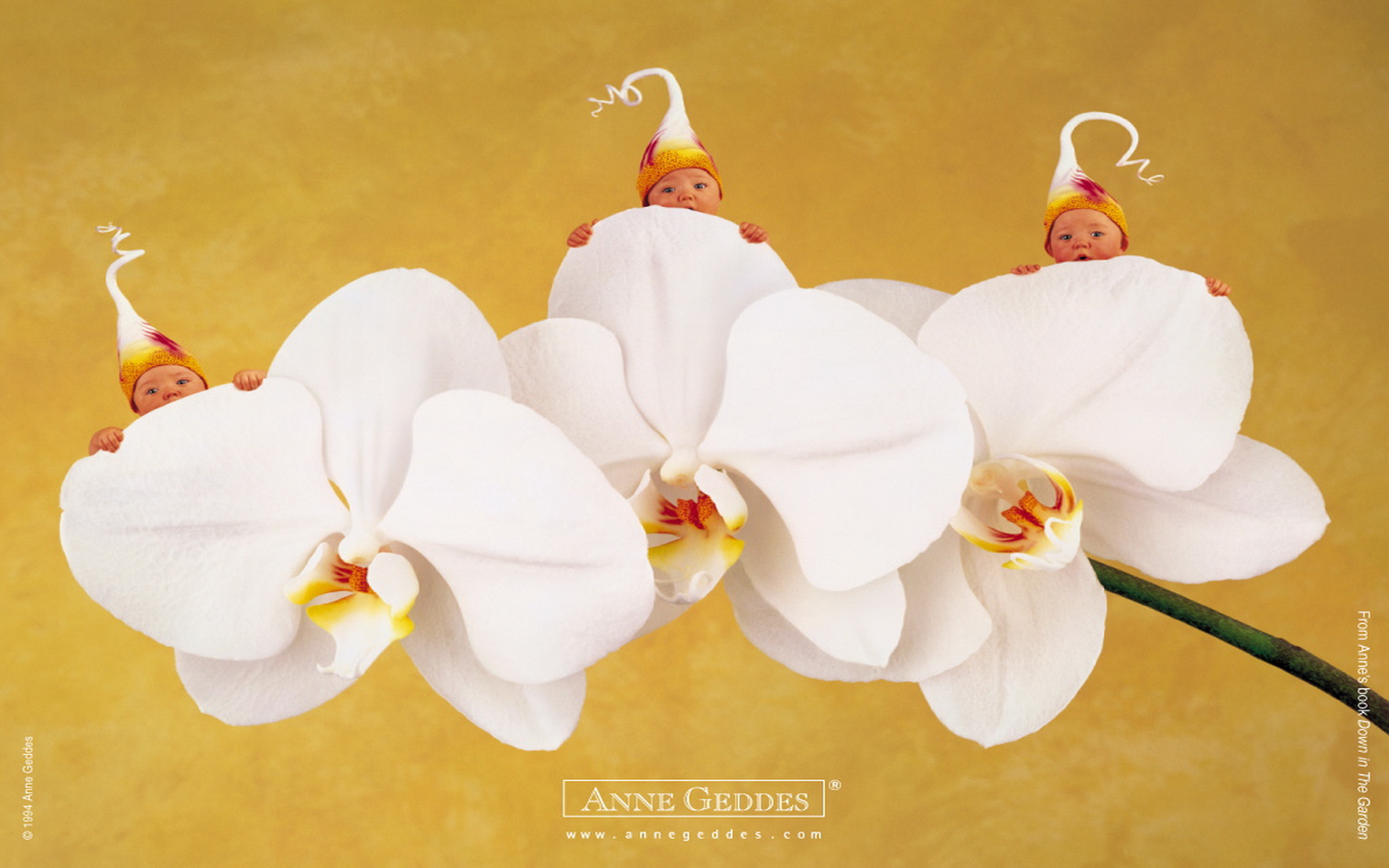 Anne Geddes Baby Santa Puppe – 23 Cm, Weiß, Aus Vinyl & Granuliertem Stoff, Weich, Für Kinder Ab 18 Monaten