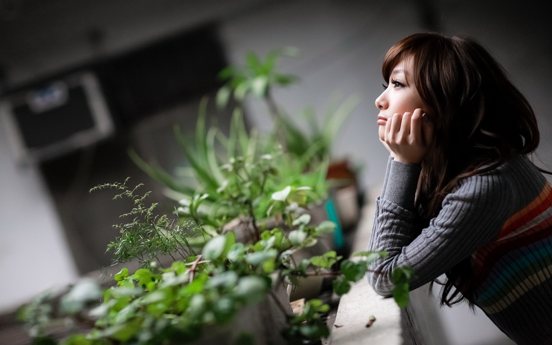 An Asian woman gazes thoughtfully in the distance while leaning on a surface with lush green plants. The image serves as an HD desktop wallpaper and background.