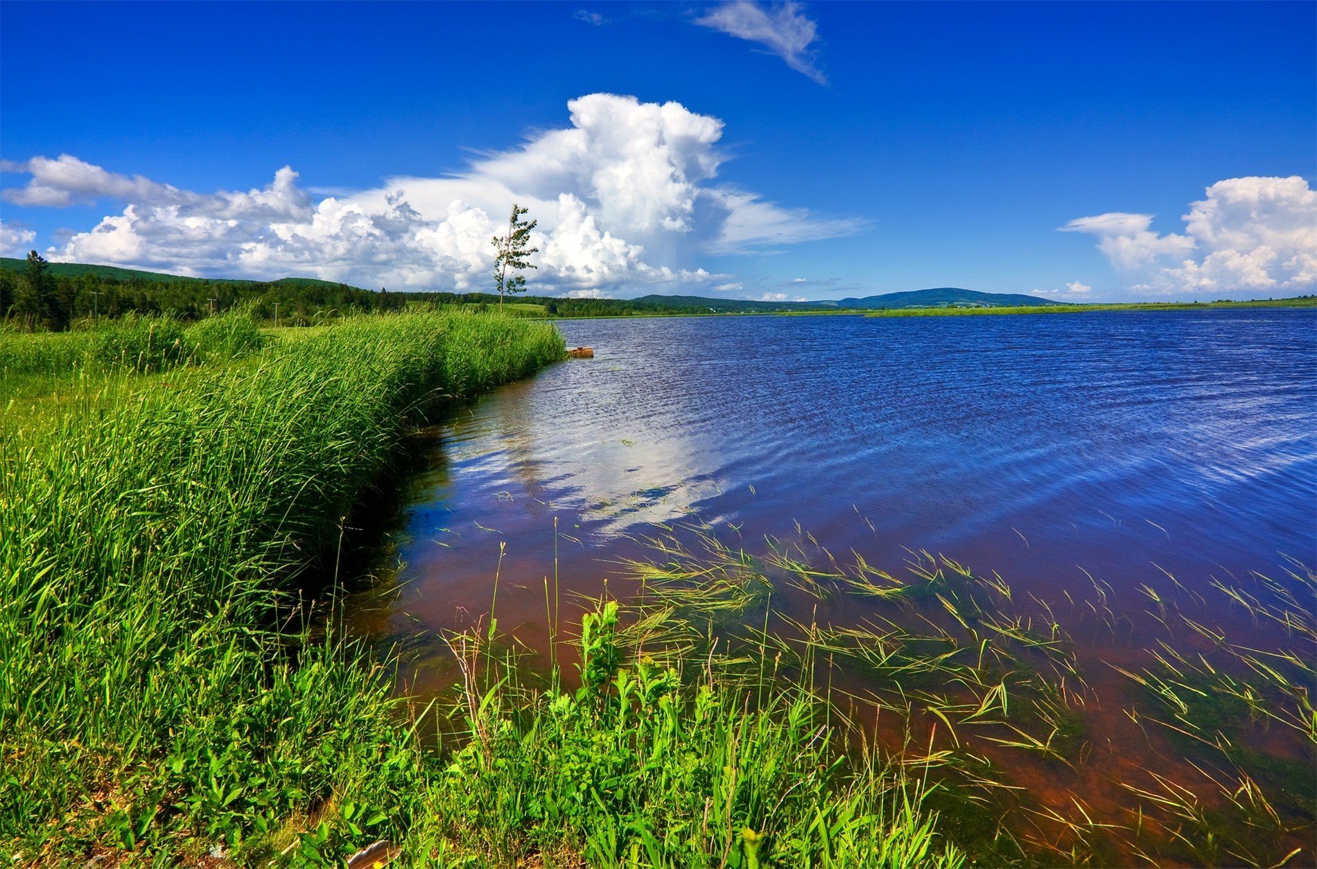 река валуй