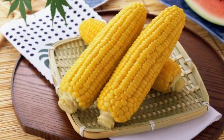 food corn HD Desktop Wallpaper | Background Image