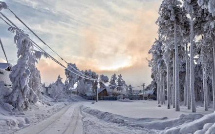 Winter landscape with a snow-covered road, power lines, and a house surrounded by frosted trees under a soft, cloudy sky, captured in high-definition photography.
