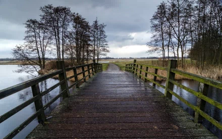 A tranquil view of a wooden bridge leading into a grassy path, framed by trees and a calm water body, set against a moody sky. This HD image serves as a striking desktop wallpaper.