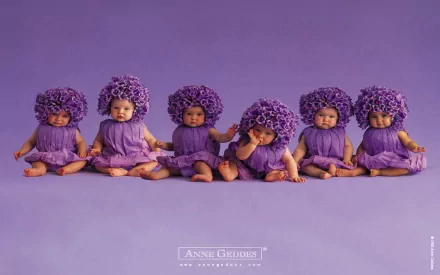 Photography of six babies in matching purple dresses and flower headpieces seated on a seamless purple backdrop — HD PC desktop wallpaper and background.