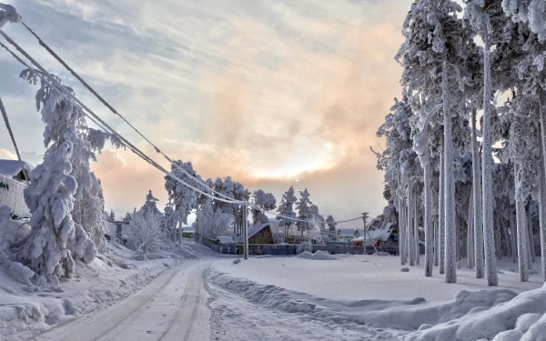 Winter landscape with a snow-covered road, power lines, and a house surrounded by frosted trees under a soft, cloudy sky, captured in high-definition photography.