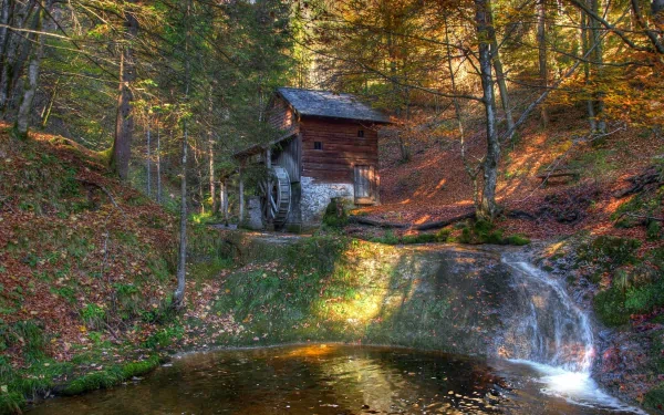 2K Quad HD PC desktop wallpaper: rustic man-made watermill beside a woodland stream and small waterfall, sunlit autumn forest with mirrored reflections.
