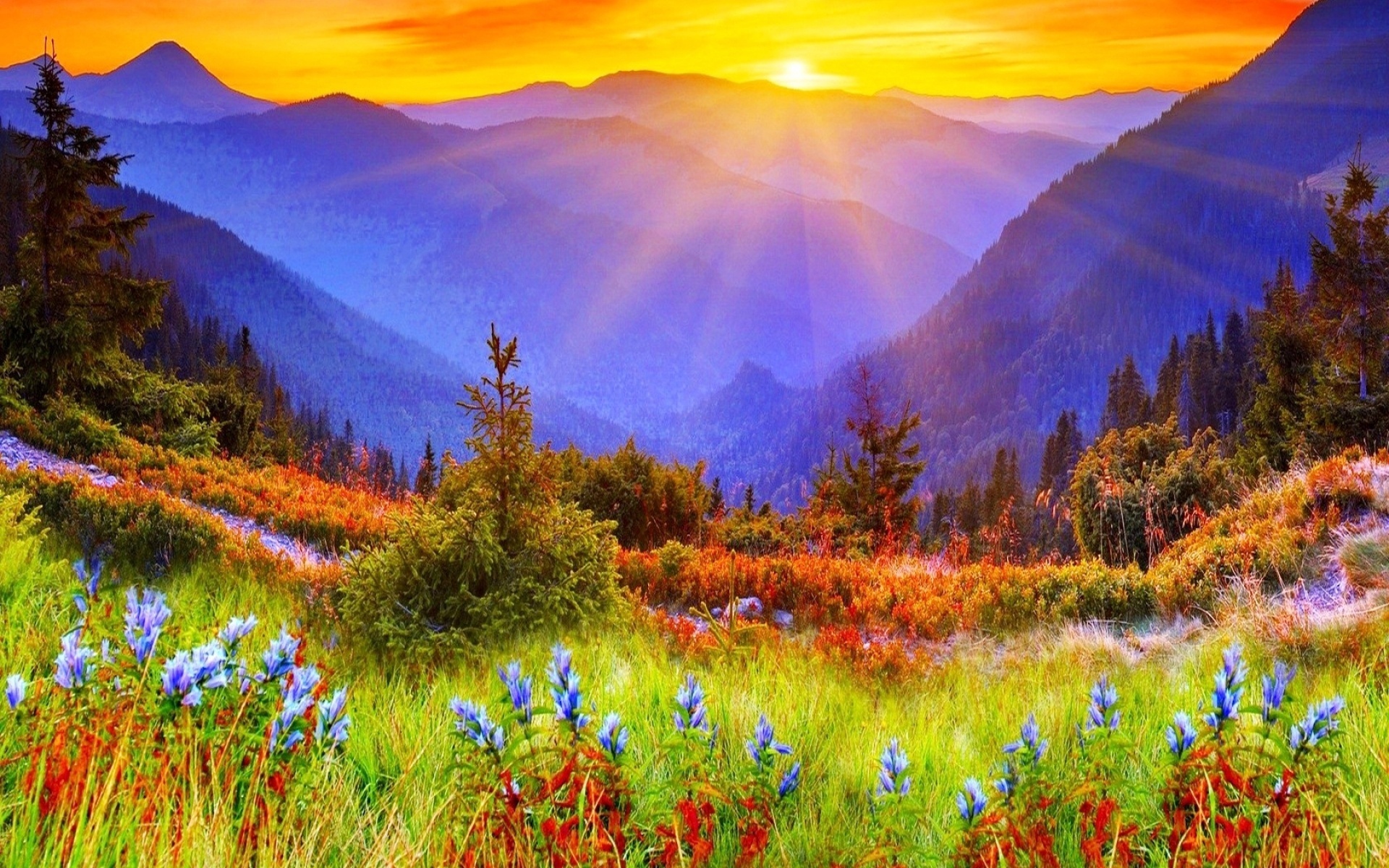 Scenic Sunrise Over Vibrant Mountain Meadow – HD Nature Wallpaper