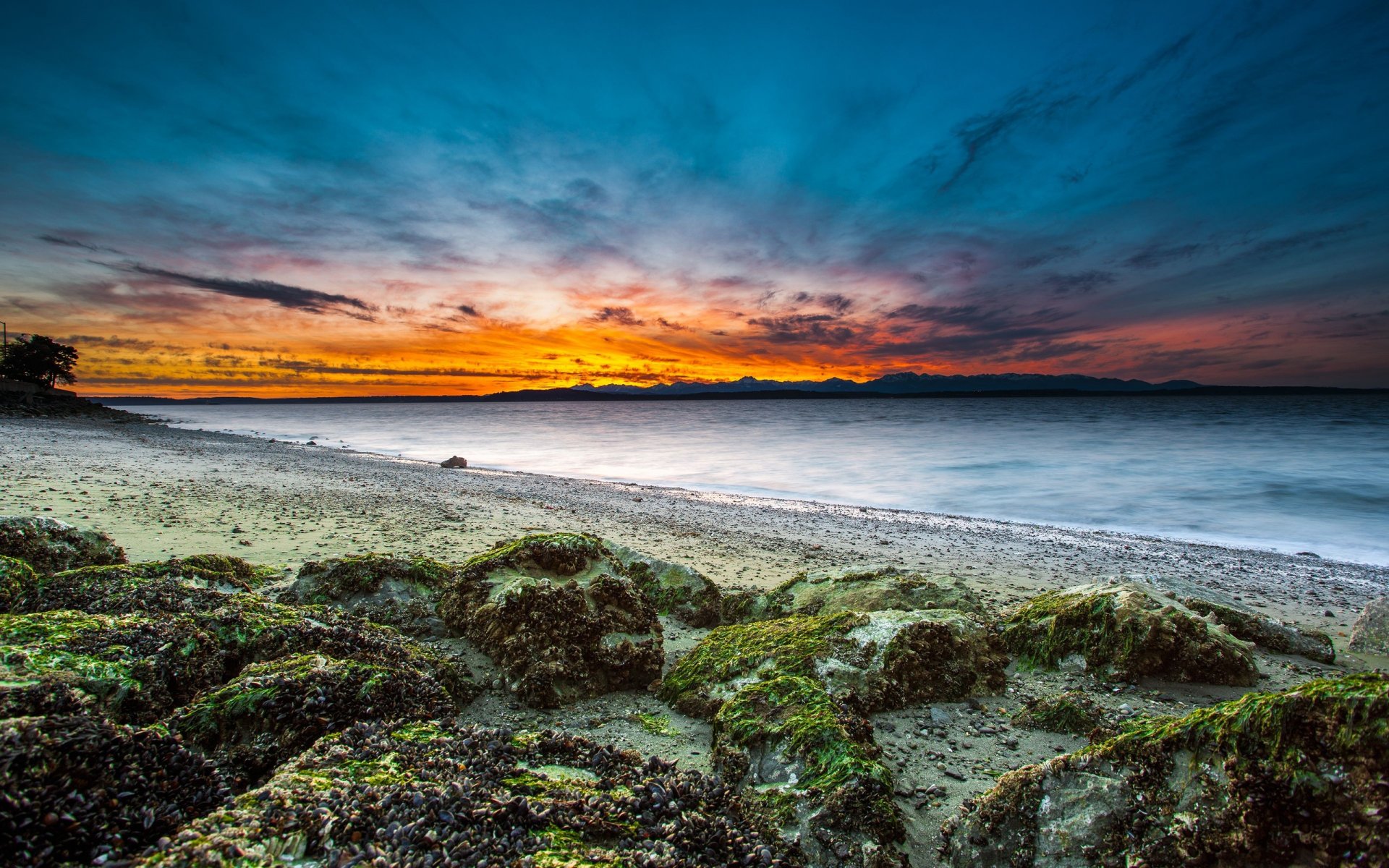 Download Nature Sunset HD Wallpaper | 2560x1600 | Wallpaper Abyss