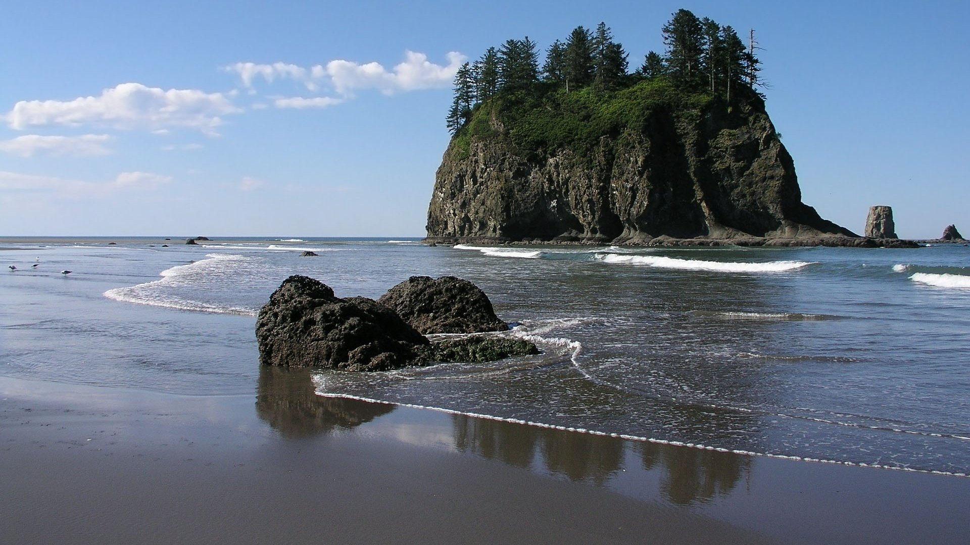 HD PC desktop wallpaper showing a serene coastal scene with a tree-covered cliff rising from the ocean under a clear blue sky, capturing natural beauty.